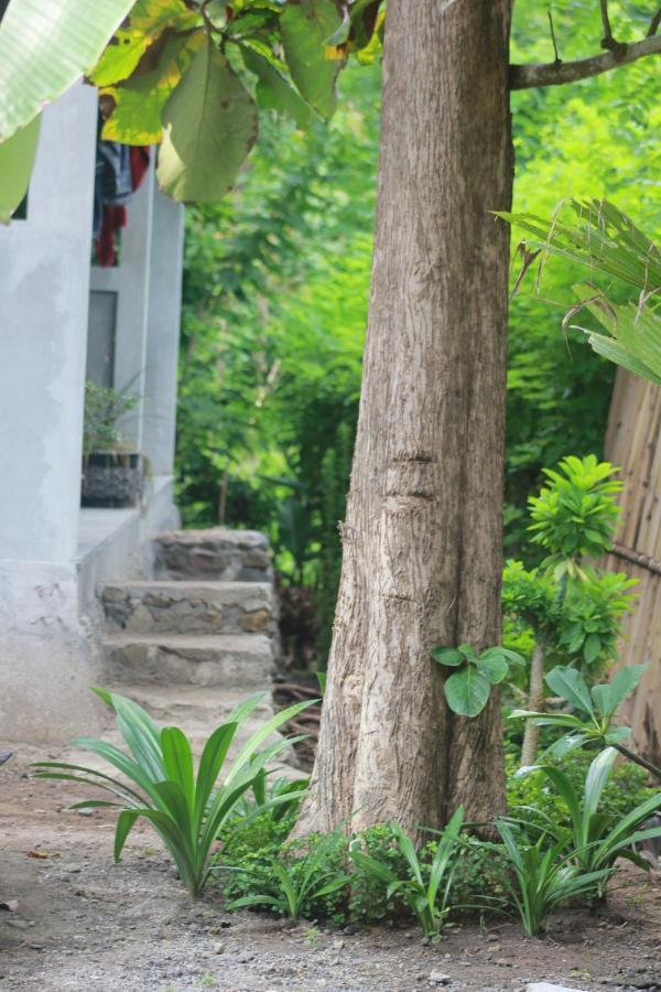 Rimba Bungalow Apartment Kuta  Ngoại thất bức ảnh
